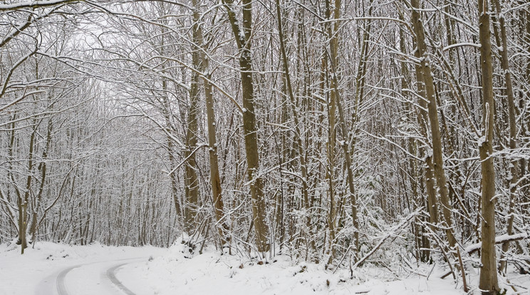 A magasabban fekvő helyeken szépen látható volt a hó (illusztráció) / Fotó: Northfoto