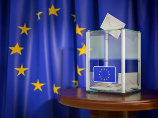 Wybory do PE. Wpływ obietnic wyborczych na gospodarkę.
