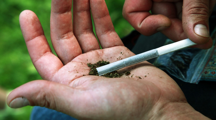 Csak felnőtt állampolgárok vásárolhatnak majd legálisan marihuánát /Fotó: Northfoto
