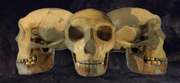 Ta humanoidalna czaszka nie pasuje do żadnej znanej istoty. Naukowcy mają zagwozdkę