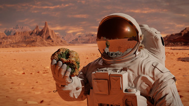 Matt Damon sadził na Marsie ziemniaki. Naukowcy uważają, że urośnie tam ryż