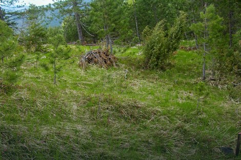 Građevinsko zemljište u Bajinoj Bašti za 550 evra po aru