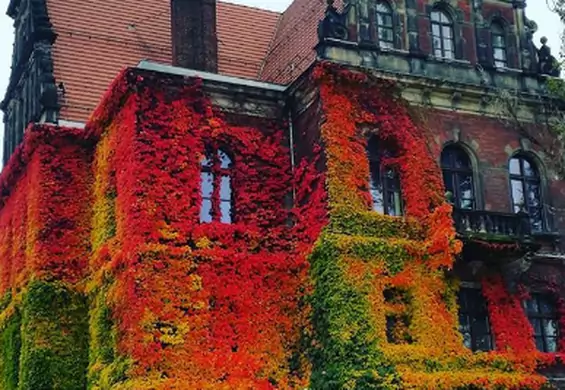 Zdjęcie Muzeum Narodowego we Wrocławiu pokazuje piękno polskiej jesieni