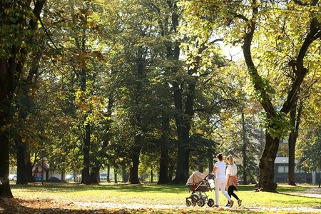 Koje su odgovornosti i obaveze dadilja