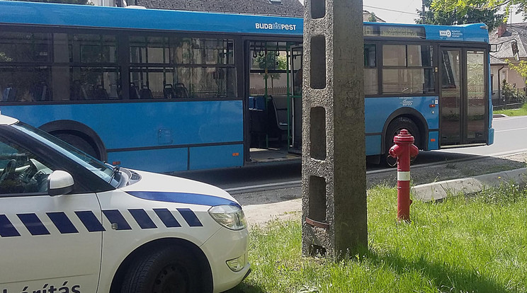 A XVI. kerületében kiesett a 46-os buszból egy férfi / Fotó: Blikk