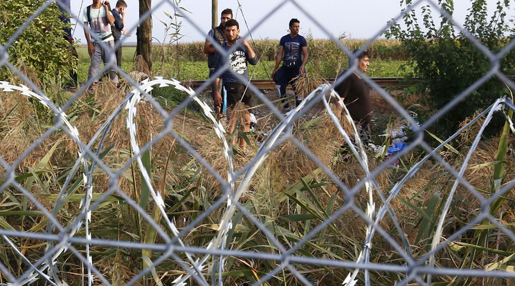 Bakondi szerint a kerítés átvágására alkalmas eszközöket kapnak a migránsok /Fotó: Fuszek Gábor