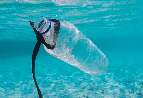 Sprzątamy po sobie nawet w wodzie. Jak możemy pomóc oczyścić wodę z plastiku