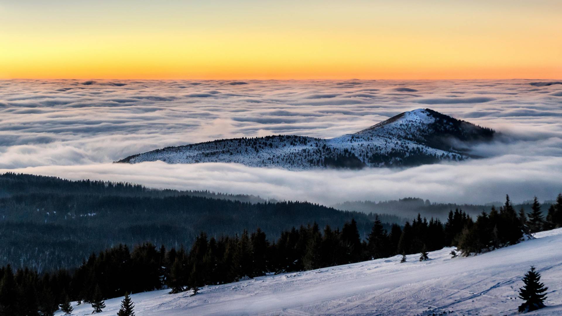 Bodljikava žica oko Kopaonika