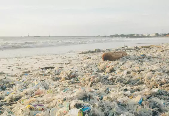 Greenwashing firm w sprawie plastiku. Jego produkcja potroi się w ciągu 20 lat