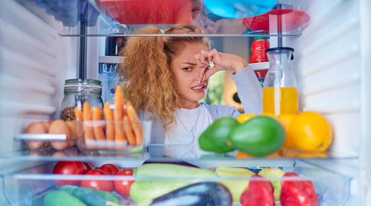 Nem várjon ölbe tett kézzel, tegyen azért, hogy jobb illata legyen a hűtőjének /Fotó: Shutterstock