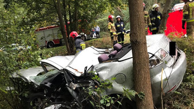 Śmiertelny wypadek na drodze krajowej nr 74. Zginął 48-latek