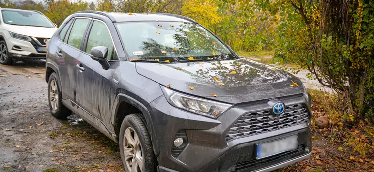 Funkcjonariusze zatrzymali podejrzaną Toyotę. Sprawdzili VIN i wszystko stało się jasne