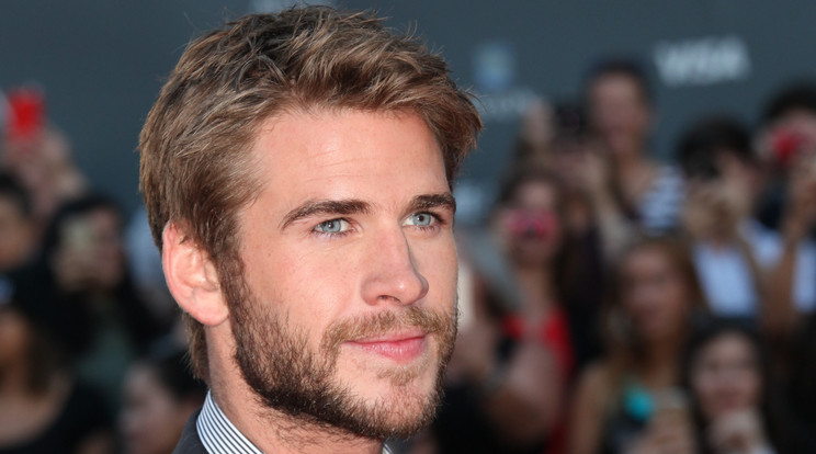 Liam Hemsworth /Fotó: Northfoto