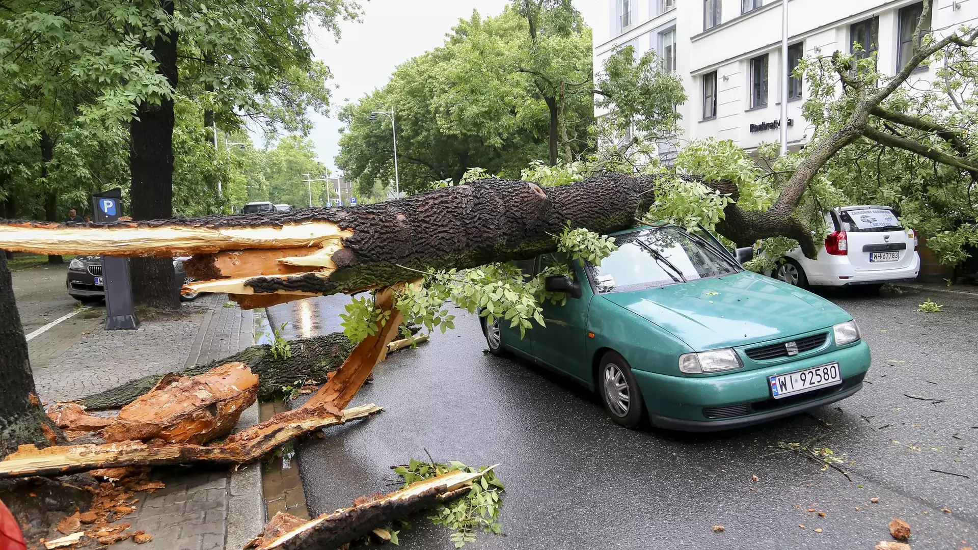 Krajobraz jak po bitwie. Te zdjęcia najlepiej pokazują, jaką siłę miała nawałnica