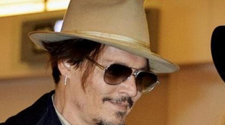 Elaltatják Johnny Depp kutyáit a színész hibája miatt?