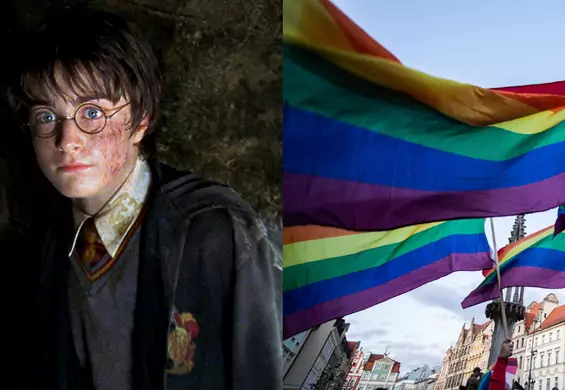 "Harry Potter" i serial "Przyjaciele" tylko dla dorosłych. Wszystko przez wątki LGBT