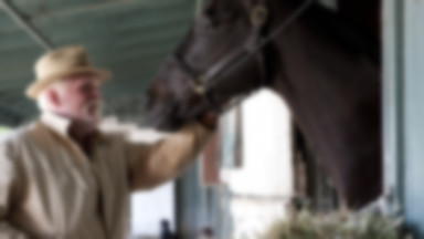 PETA protestuje: śmierć koni na planie serialu "Luck"