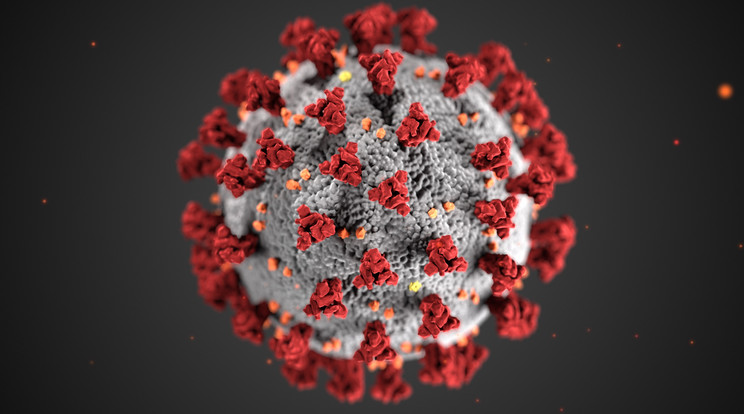Ukrajnában az elmúlt öt napban fokozatosan lassult a koronavírus-járvány terjedése/Fotó: Pexels