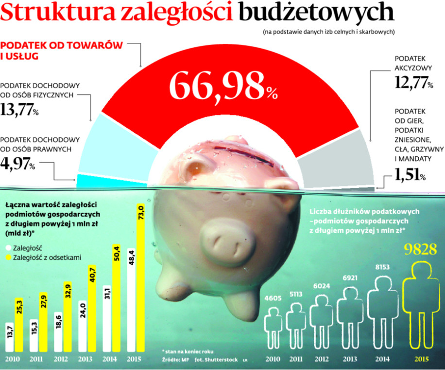 Struktura zaległości budżetowych