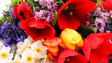 Symbolika kwiatów - znaczenie najpopularniejszych kwiatów i ich kolorów