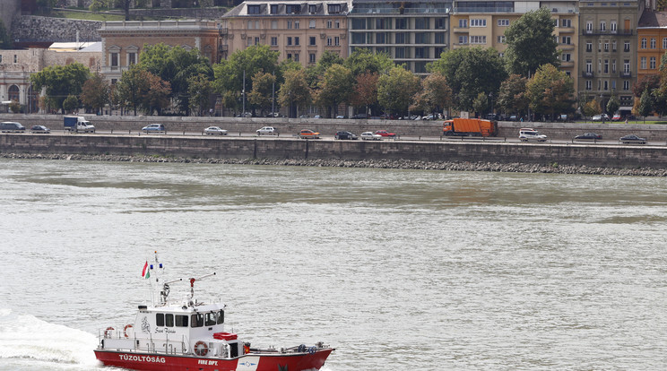 Szilák közé esett egy ember a Duna-parton  / Fotó: Fuszek Gábor