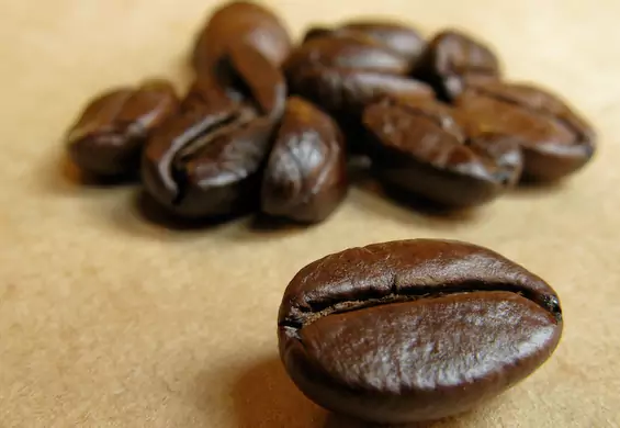 Zaskakujące fakty na temat kofeiny. Teraz każda kawa będzie smakować zupełnie inaczej