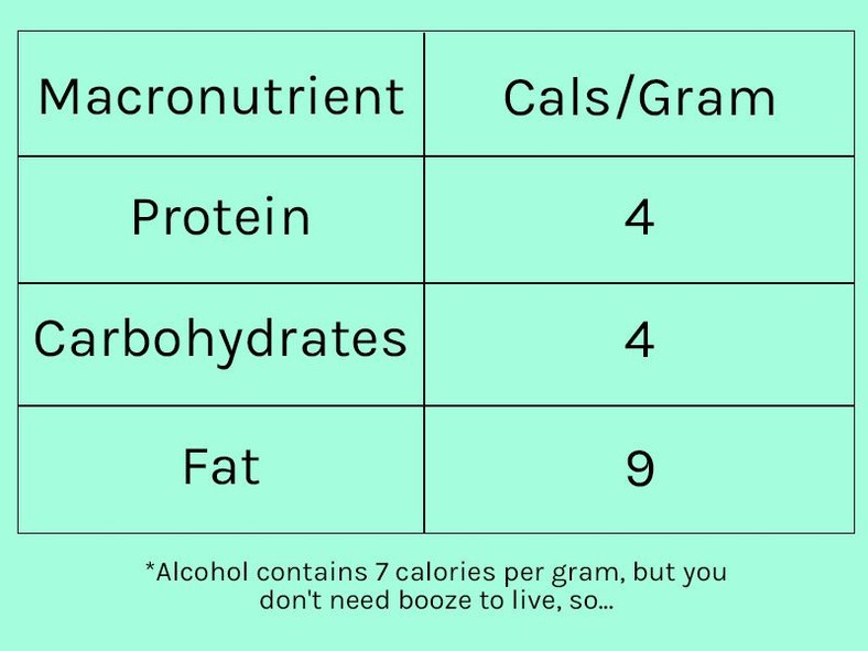 How to count macros to lose weight 