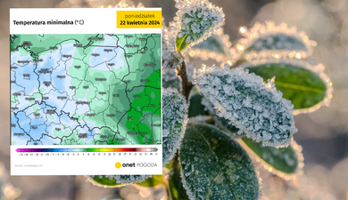Antycyklon Quadarius zmrozi Polskę. Temperatura spadnie do -5 st. C [PROGNOZA]
