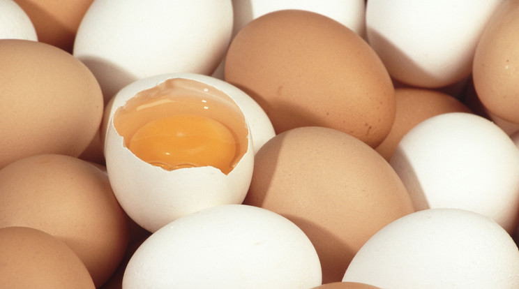Húsvét előtt ismét jelentősen drágul a tojás / Fotó:Northfoto