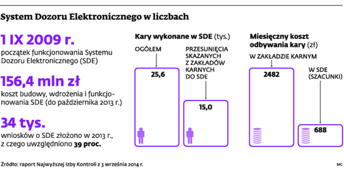 System Dozoru Elektronicznego w liczbach