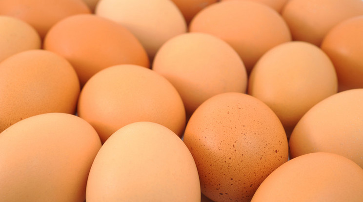 Húsvétkor és karácsonykor jelentősen megnő a tojás ára /Illusztráció: Northfoto