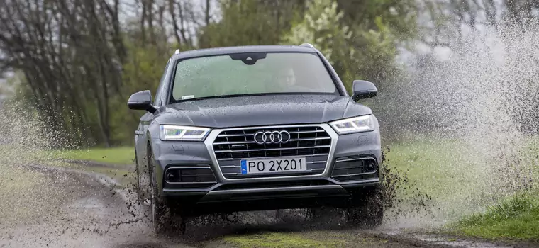 Audi Q5 2.0 TFSI - do turystyki i na co dzień