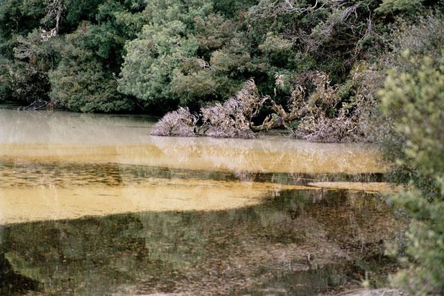 Galeria Nowa Zelandia - Wyspa Północna, obrazek 33