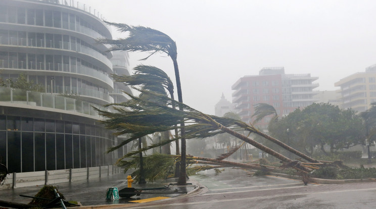 A hurrikán már letarolta a karib térséget, tegnap hajnal óta pedig az Egyesült Államokban pusztít /Fotó: MTI