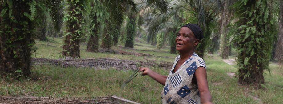 Mieszkańcy Wybrzeża Kości Słoniowej od wielu pokoleń zajmują się uprawą manioku i kukurydzy.