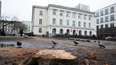 Onet24: Kaczyński przeciw wycince drzew