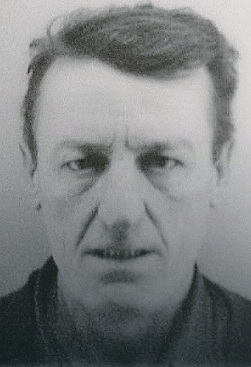 Stradali Sini&scaron;a Milenković