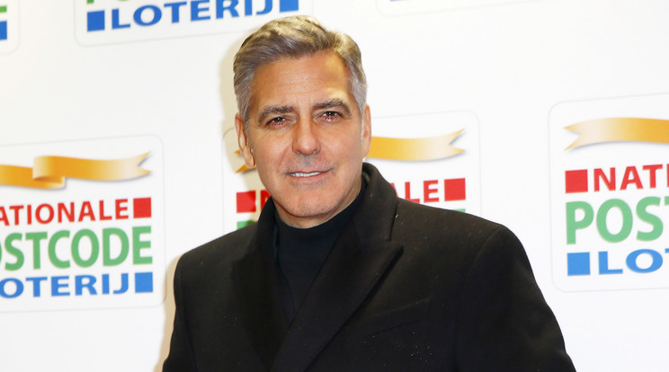 George Clooney a szüleinek ajándékozta a beteg kutyust / Fotó: Northfoto
