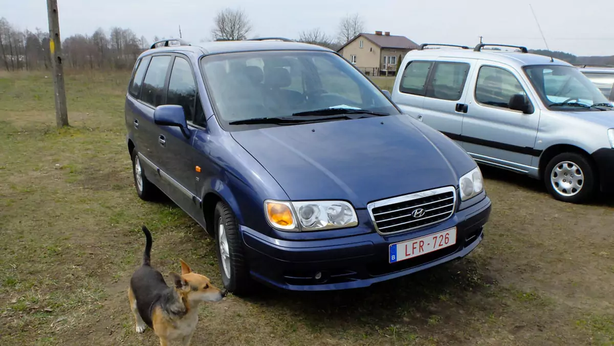 Auto z ogłoszenia - Hyundai Trajet duży van za nieduże pieniądze