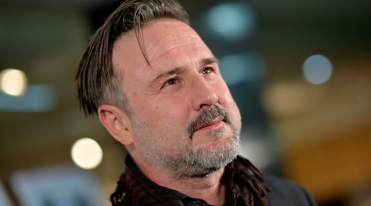 David Arquette /Fotó: Northfoto