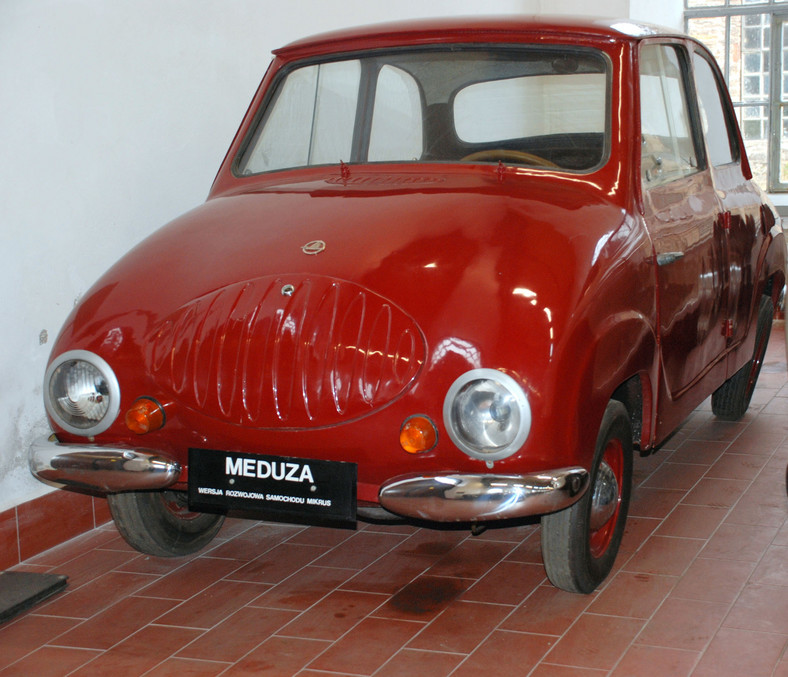 Historia polskiej motoryzacji - pojazdy i silniki z Mielca