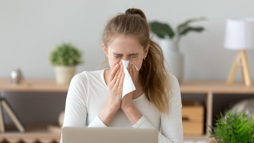 pollen allergia tüsszögés orrfolyás pollenszezon