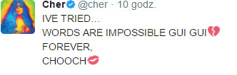 Cher na Twitterze