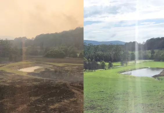 Russell Crowe pokazuje, jak Australia odradza się po pożarach
