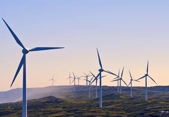 Dania po raz pierwszy w historii zaspokoiła 100 procent swoich potrzeb energią wiatrową