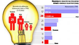 Najwięksi gracze na polskim rynku energii elektrycznej