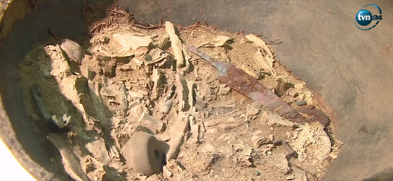 Lubuskie: Znaleźli urny sprzed 2000 lat. Żeby sprawdzić co jest w środku, prześwietlili je u weterynarza