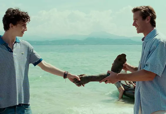 Kolejny aktor potwierdza. Będzie sequel "Call Me by Your Name", a Timothé Chalamet powróci do swojej roli