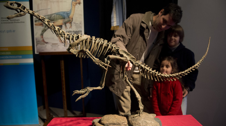 A Chilesaurus lehet a dinoszauruszok fejlődésének hiányzó láncszeme/Fotó: AFP