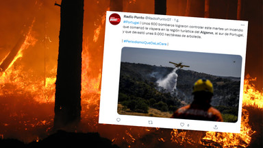 Pożary w Portugalii. Ugaszono ogień zagrażający kurortom w Algarve